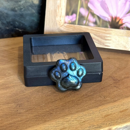 Pierre Labradorite chat