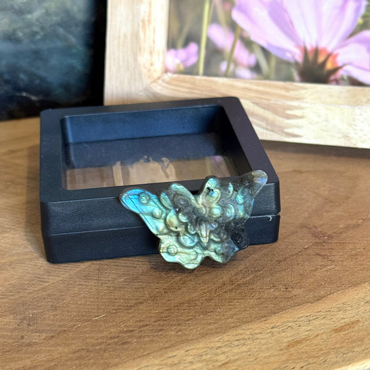 Pierre labradorite papillon