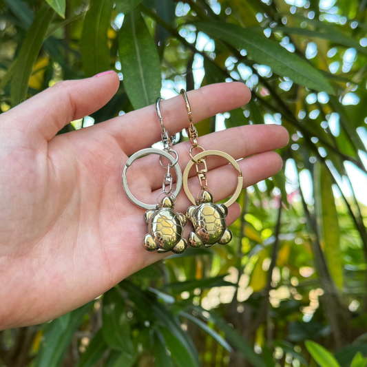 Porte-clé lumichance tortue