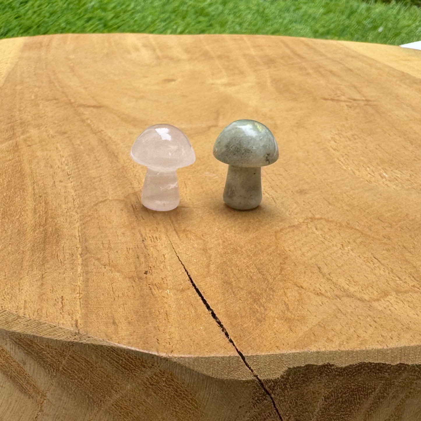 Champignons pierres naturelles