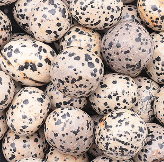 Jaspe dalmatien pierre roulée