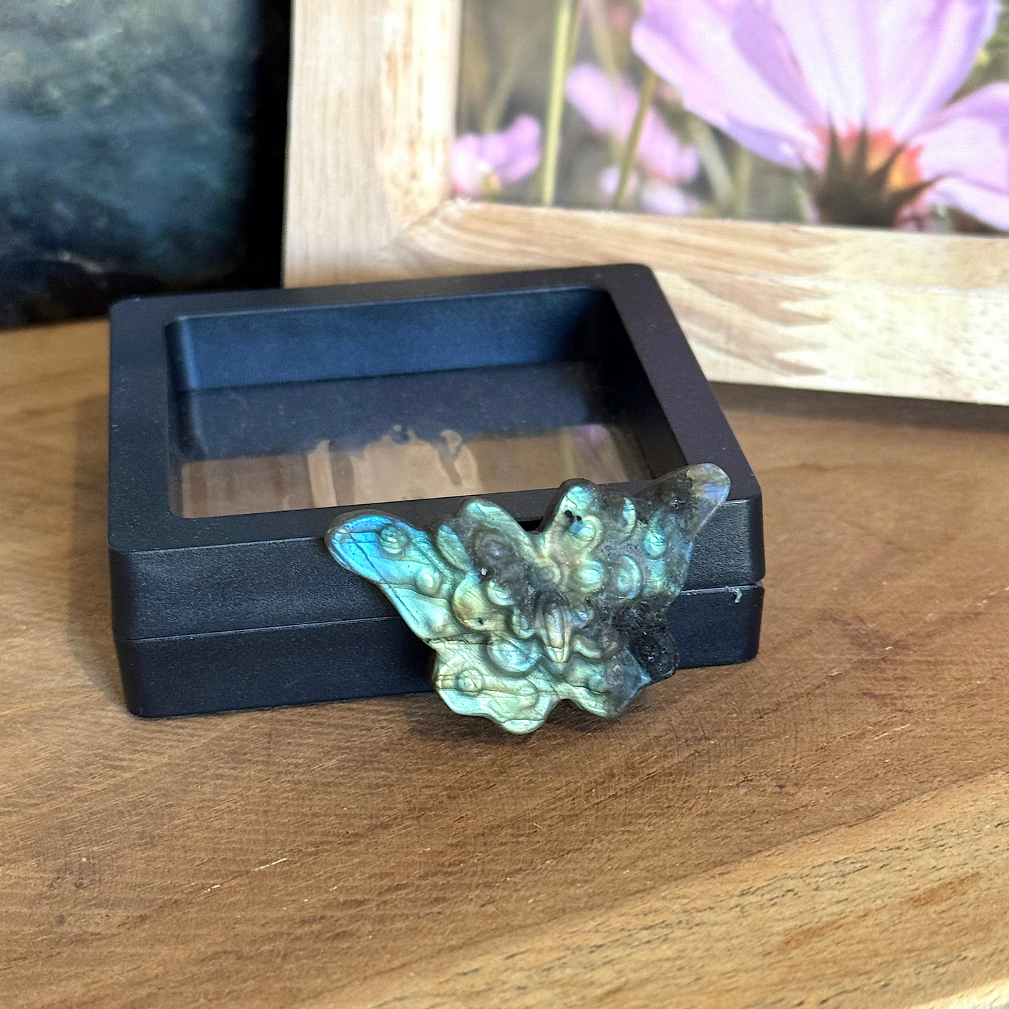 Pierre labradorite papillon