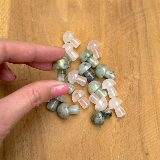 Champignons pierres naturelles